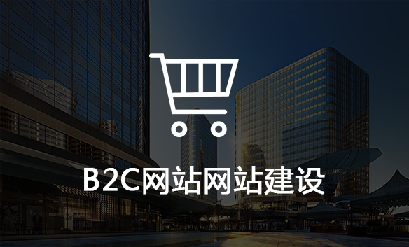 B2C网站网站建设