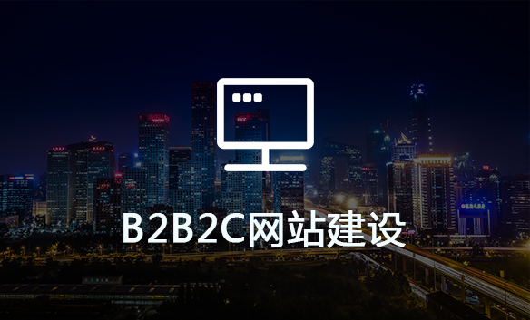 B2B2C网站建设