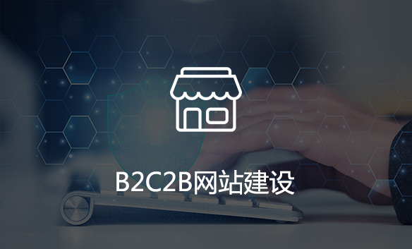 B2B2C网站建设